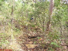 20080420-ONR 110 